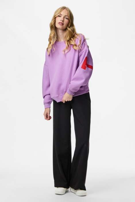 Pieces pcfany ls o-neck oversized sweat jr